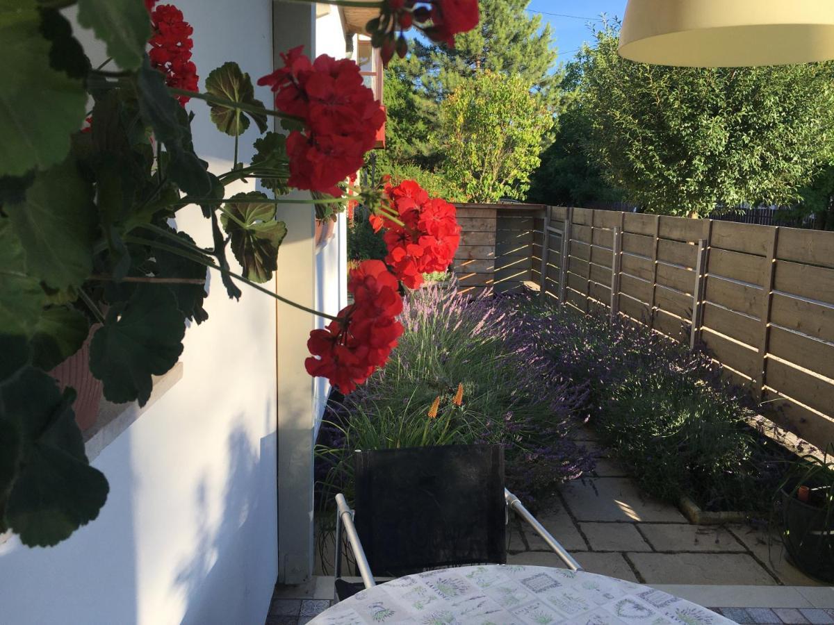 Szélrózsa apartmanház Velence Esterno foto